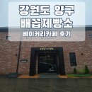 배꼽제빵소 | [내돈내산] 강원도 양구 베이커리카페 배꼽제빵소 후기