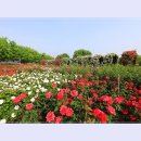 곡성-033 이미지