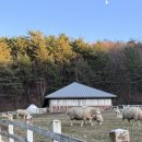 서랑목장 네이버블로그
