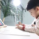 원당에스엘프라임학원 | 예비초 초등홈스쿨링 온라인학습 엘리하이 예습해요!