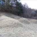 금왕보건진료소 이미지