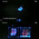 장수여인숙 이미지