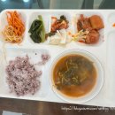 대아농수산물 | 울릉도 패키지 여행기(feat. 참좋은여행) (2) - 육로관광 A코스, 독도 입도, 나리분지, 삼선암 등