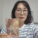 위즈타로 | 수원 인계동 타로 잘 보는 곳 티케타로 후기, 썸에서 연인으로
