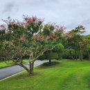 벽산행정사 이미지