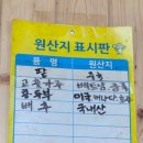 주바라기분식 이미지