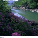 명승자원 이미지
