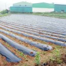 하임농장 이미지