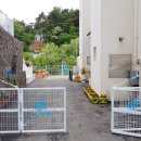 러블리펫108 이미지