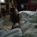 시원안마시술소 이미지