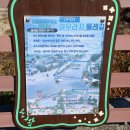 아우라지 출렁다리 이미지