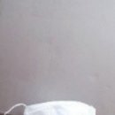 방배선진유통 이미지