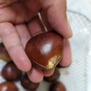 포르단밤~ 유 노 포르단밤??? 무조건 꼭!! 먹어보길~ 꿀맛^^
