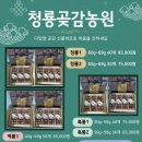 청룡곶감농원