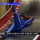 하나피드 이미지