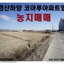 코아루아파트옆도로 이미지