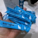 조인트하우스 | 반려동물 영양제 추천 반려동물 관절 영양제, 인트라젠 강아지 고양이 조인트파워 영양제.