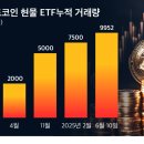 태풍 이미지