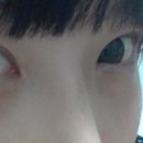 코차몰