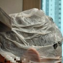 네추럴뷰티 - 관악구 청룡2길 29 | 남자 새치염색약 추천 박준뷰티랩 프리미엄 살롱 GN6 네추럴브라운 사용 후기