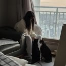 정발우체국 | 민식이가 2월을 살아가는 법 (아직 잘 모르겠어요)