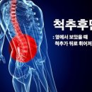 더우아 이미지