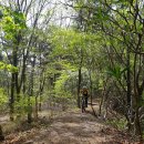 옥봉산 3기/4기 기수들과 함께한 양산엠티비 엘리트코스와 오룡산 싱글 이미지