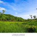 악양생태공원 이미지