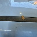 루페스 빅풋 디테일링센터 | 🚗 루페스 빅풋 디테일링센터 영등포점 후기｜영등포 세차 꼼꼼함에 감탄한 이유