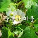 순수한찬 이미지