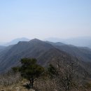 무풍면011 Daum카페