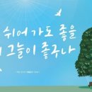나무그늘아래 이미지