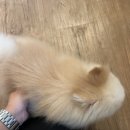 나와PC게임장 이미지