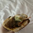 지온목장 | 아기와 나트랑 여행 / 판랑사막투어/ 삼대가 함께한 투어/베트남수호천사/ 양떼목장/포도밭/스냅작가