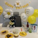 쿠루름 | 제트 생일 음식 후기(쿠루름 배송 후기)