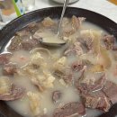 찾아가는맛집 Daum카페