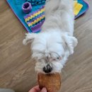 솜사탕키친 이미지