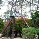 천황자동차야영장 이미지