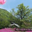 성불산자연휴양림 이미지