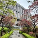 [종로구 맛집]JW메리어트 동대문 스퀘어 서울 살롱 드 딸기 뷔페 후기