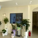 린동물병원 | 대구 동물병원 강아지 병원 고양이 병원 추천