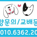 휴먼앤독 이미지