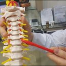 e-청담한의원 이미지