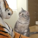 소래동물병원 이미지