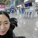 제주사랑상조