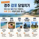 경주 감포 당일치기｜바다 보고 물회 먹고 카페까지, 하루 이렇게 돌면 됩니다 이미지
