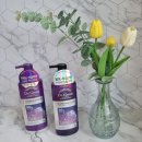 바이오생활 | LG생활건강 닥터 그루트 바이오엑소좀 샴푸&amp;컨디셔너 후기