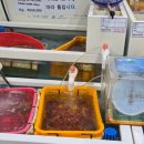 울릉푸른나무 이미지