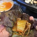 돼지들의이야기 이미지