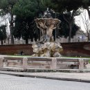 로마(Rome) Daum카페